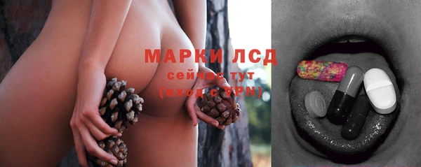 прущий лед Богданович
