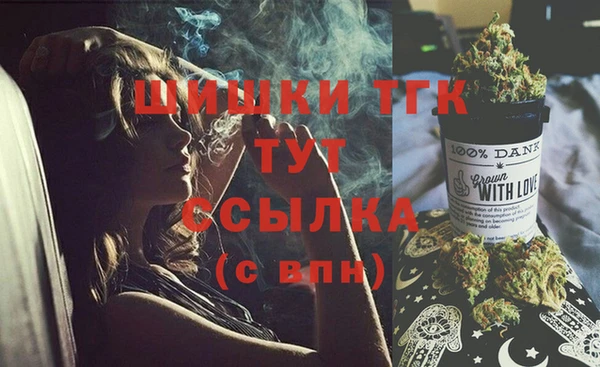 прущий лед Богданович