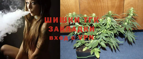 прущий лед Богданович
