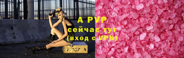 прущий лед Богданович
