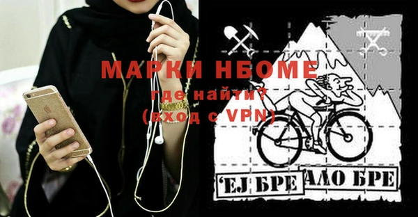 прущий лед Богданович