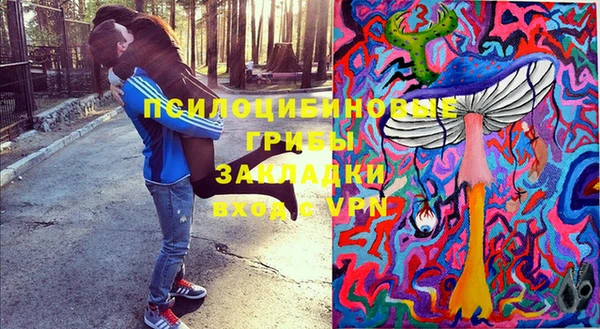 Альфа ПВП Богородск