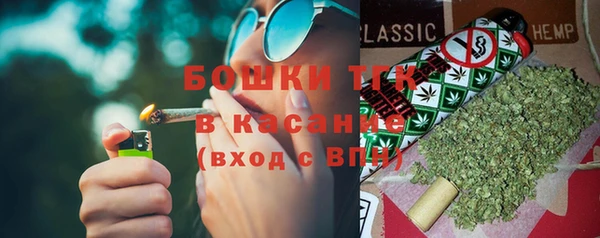 прущий лед Богданович