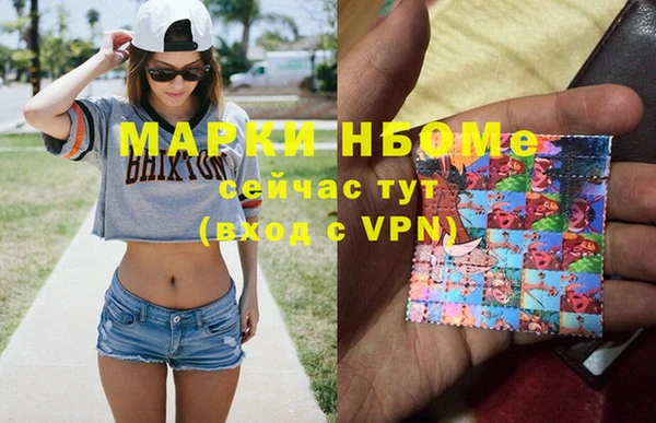 хмурый Богородицк