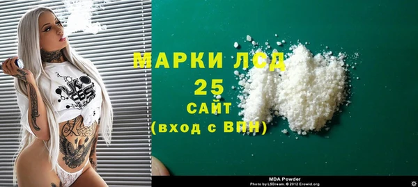 прущий лед Богданович