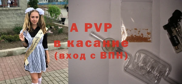 прущий лед Богданович